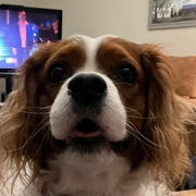 Profile photo for James